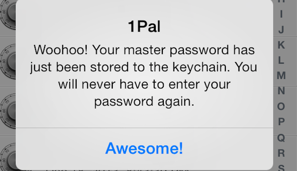 1Pal Store Keychain