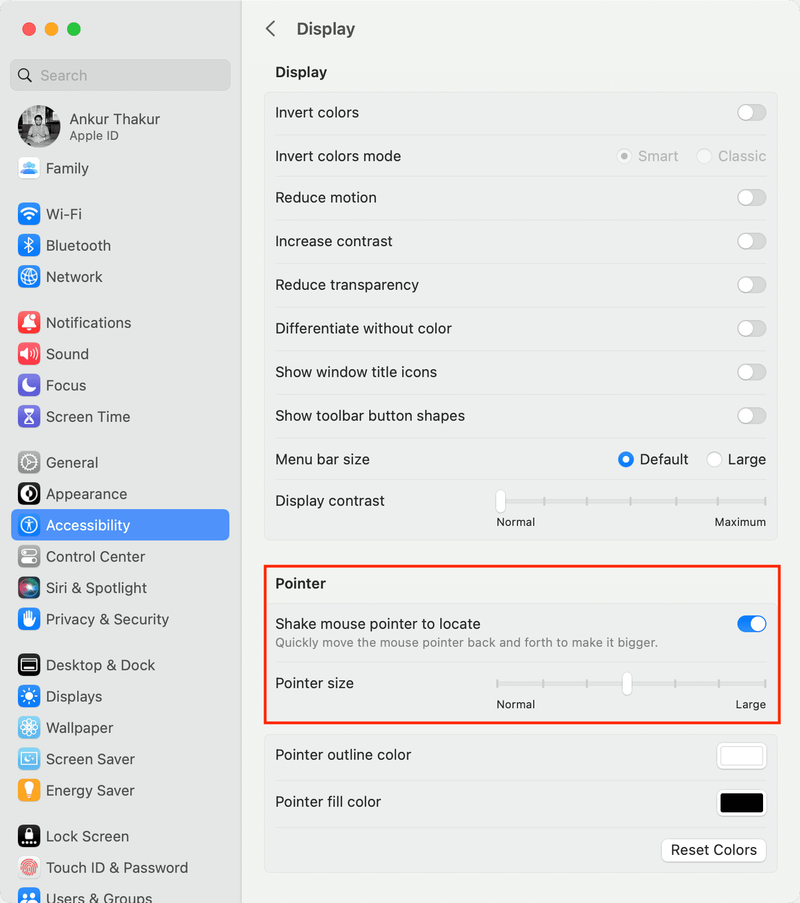 Pointer size settings on Mac