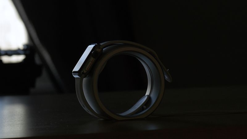 Bulbae xylum 07