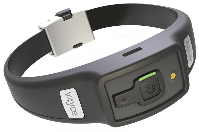 Voyce collar (image 001)