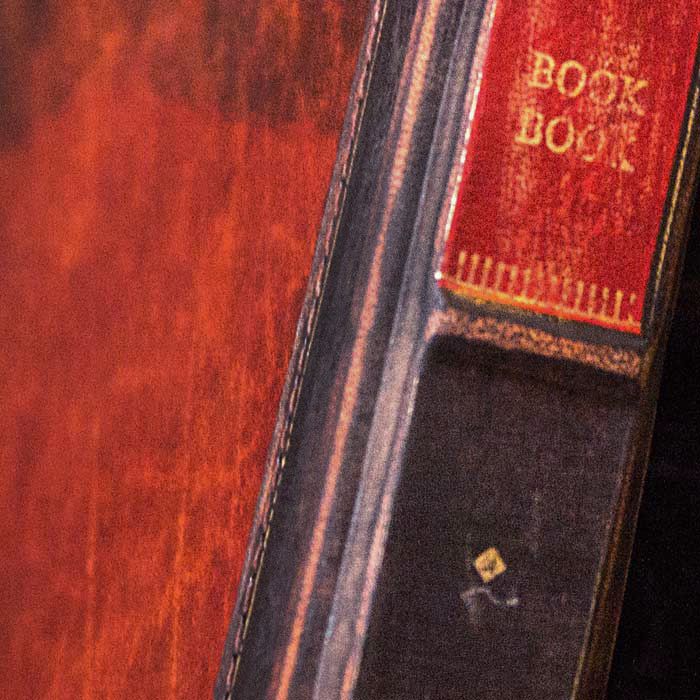 Twelve South (Rutledge BookBook, image 006)