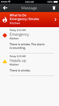 Nest Protect (image 004)