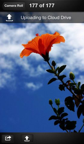 Amazon Cloud Drive Photos 1.0 for iOS (iPhone screenshot 003)