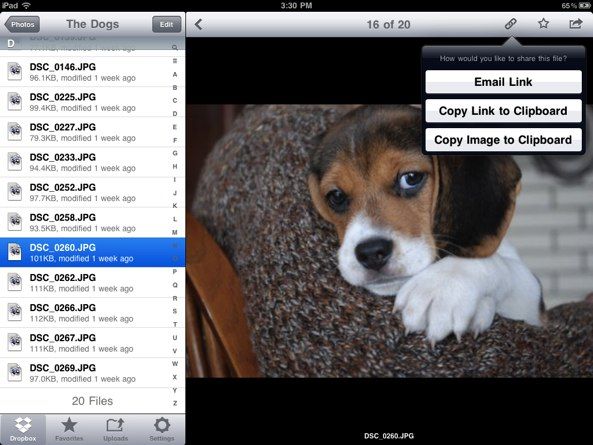 Dropbox for iOS (iPad screenshot 001)