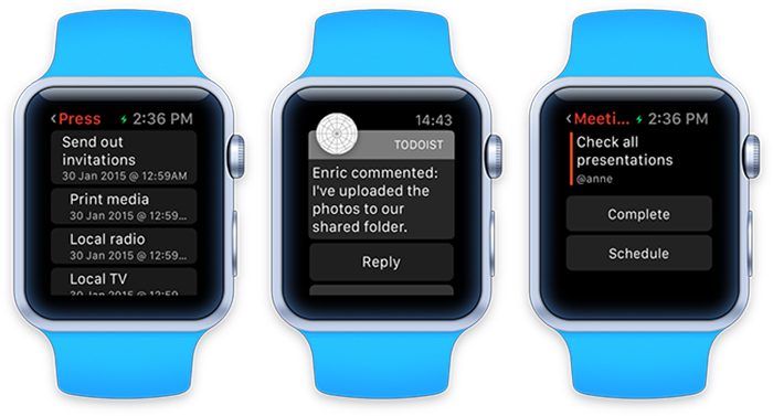 Todoist Apple Watch screenshot 001