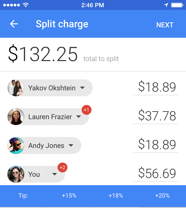Google Wallet 8.174.19 for iOS (iPhone screenshot 003)