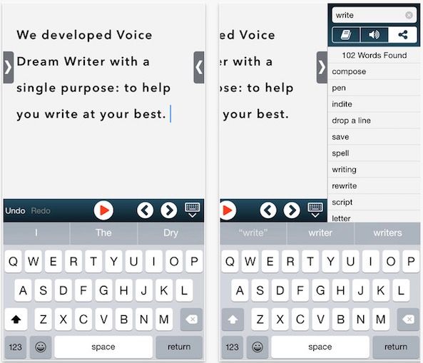 Voice Dream Writer