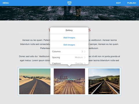 Weebly 3.0 for iOS (iPad screenshot 005)