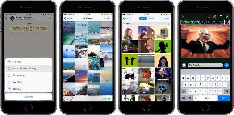 WhatsApp 2.16.16 pour iOS Bouton de recherche GIF Capture d