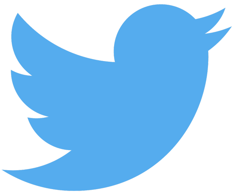 Twitter bird logo medium