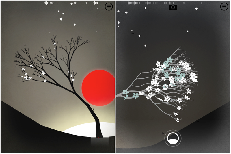 Prune 1