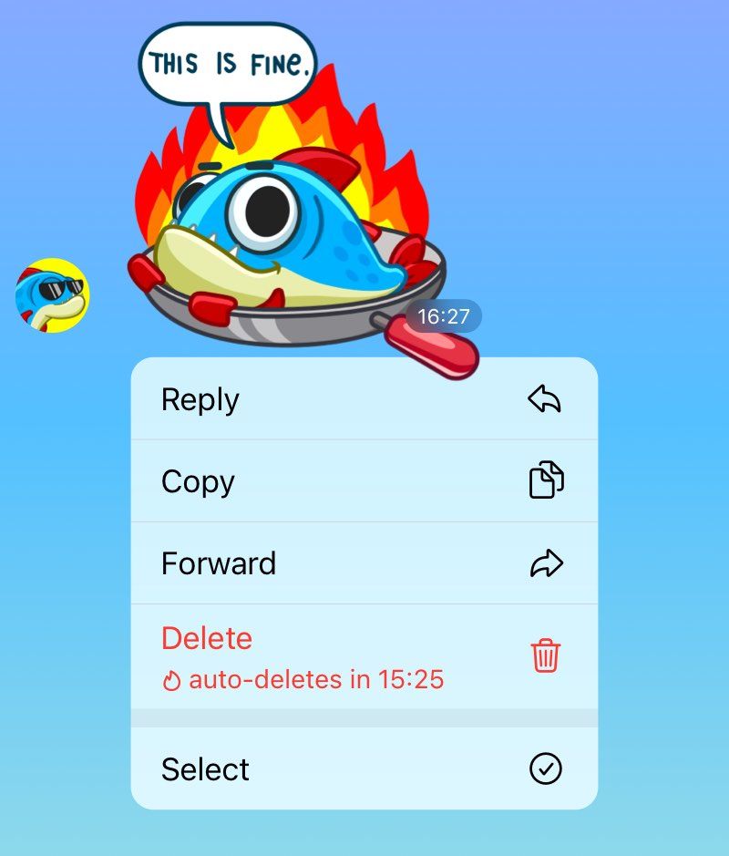 An image showing a new global auto-delete option in the Telegram app for iPhone