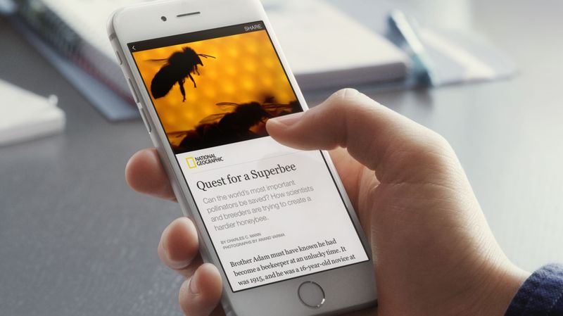 Facebook Instant Articles article