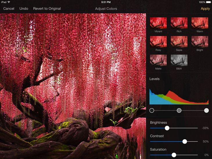 Pixelmator for iOS 1.0 (iPad screenshot 003)
