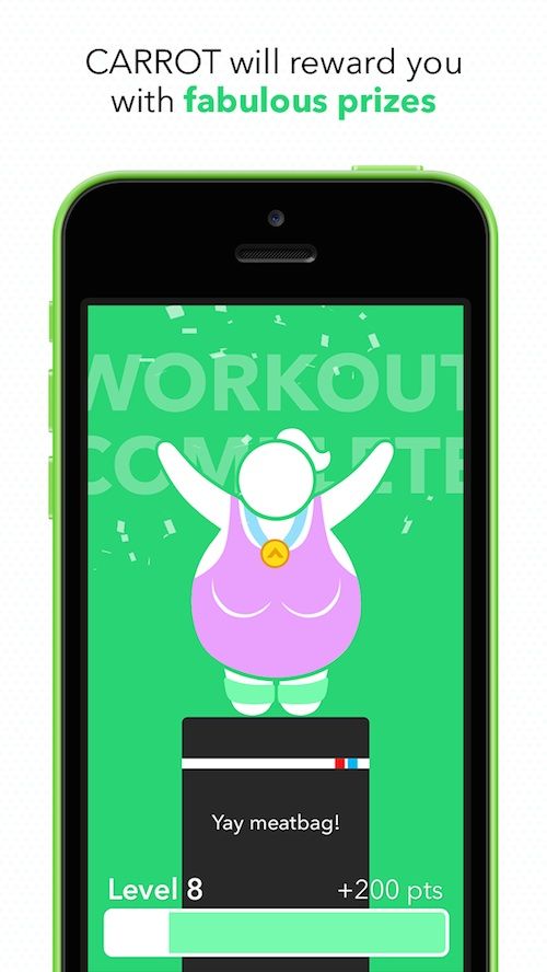 Carrot Fit 4