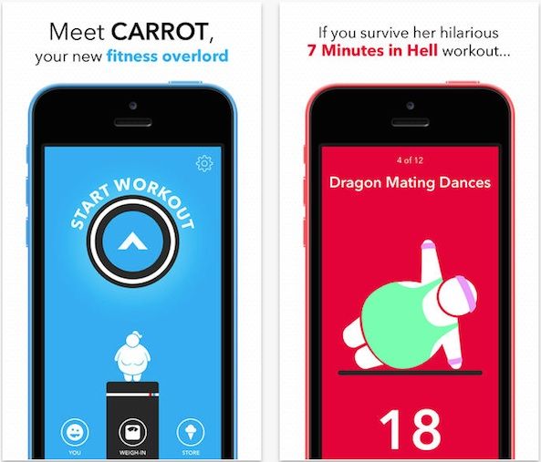 Carrot Fit