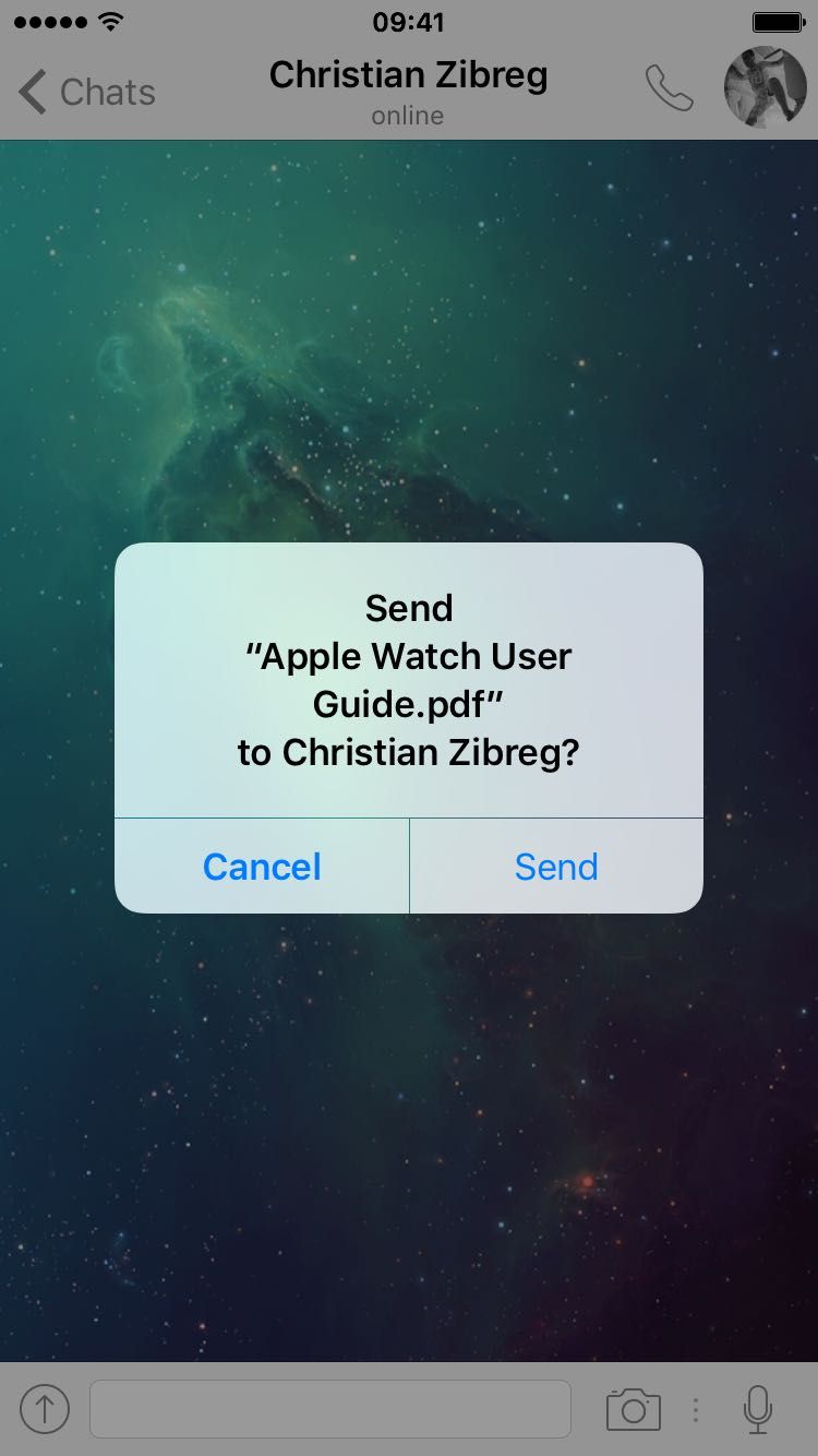 WhatsApp send PDF iPhone screenshot 002