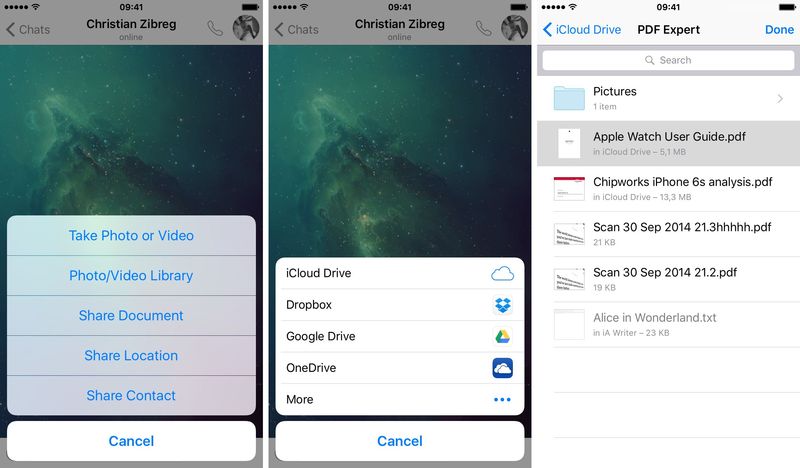 WhatsApp send PDF iPhone screenshot 001