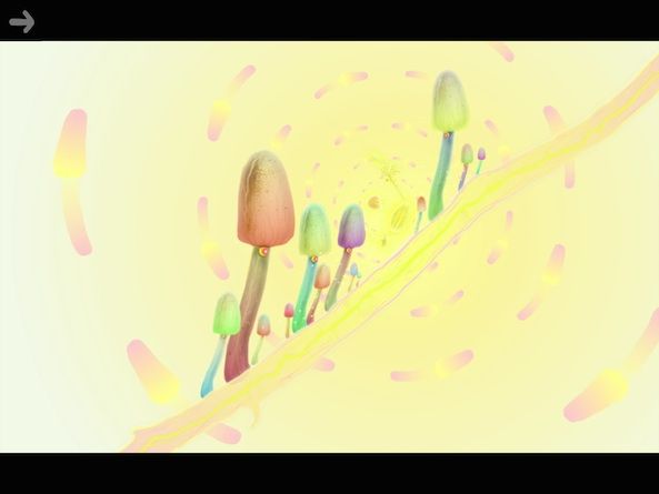 Botanicula 1