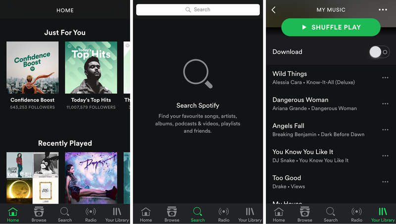 Spotify Dark Theme