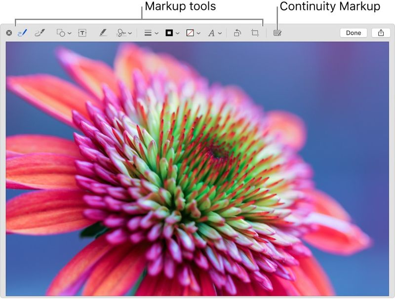 Mark up Mac documents