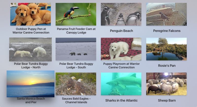 Pearls of the Planet App Apple TV