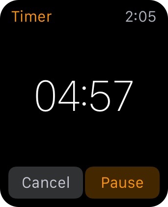 Apple Watch Time siri