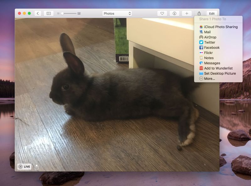 OS X El Capitan Photos Live Photos menu de partage Capture d