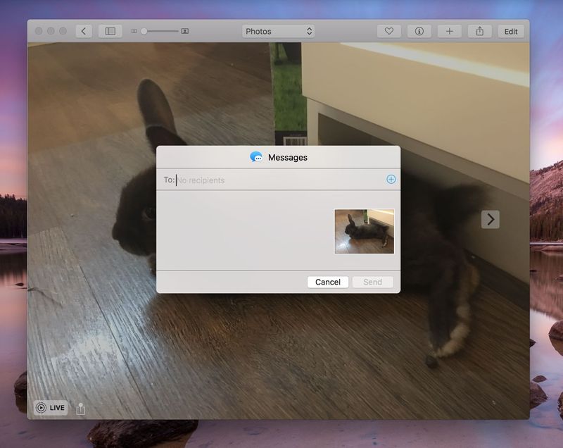 OS X El Capitan Photos Live Photos menu de partage Capture d
