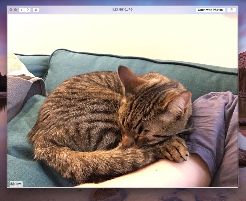 OS X El Capitan Quick Look Live Photos Capture d