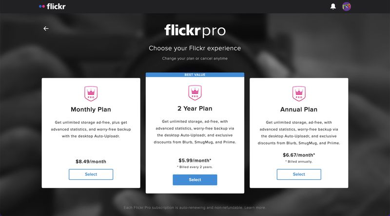 Plans professionnels Flickr 2022
