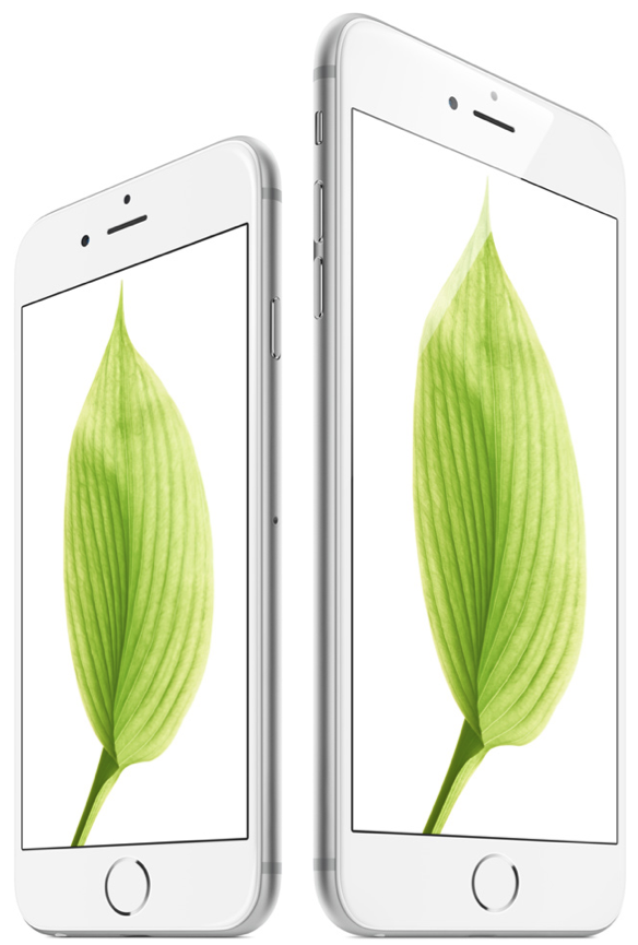 Silver iPhone 6 6 Plus side by side