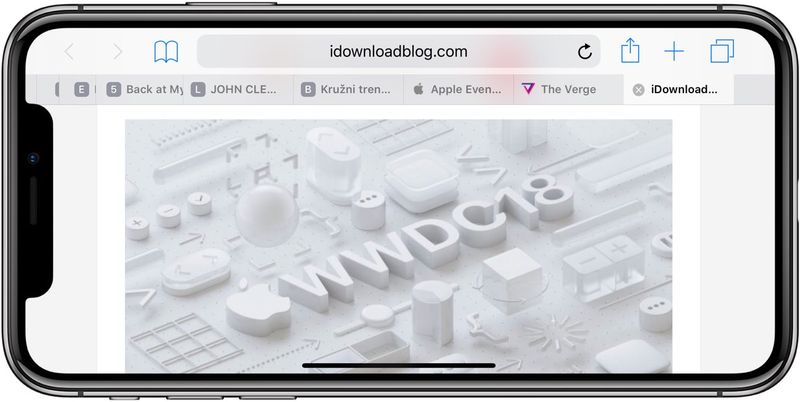Safari favicons shown on an iPhone X in landscape mode