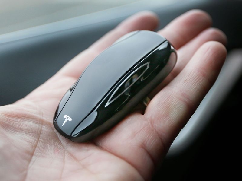 Tesla Model S key fob