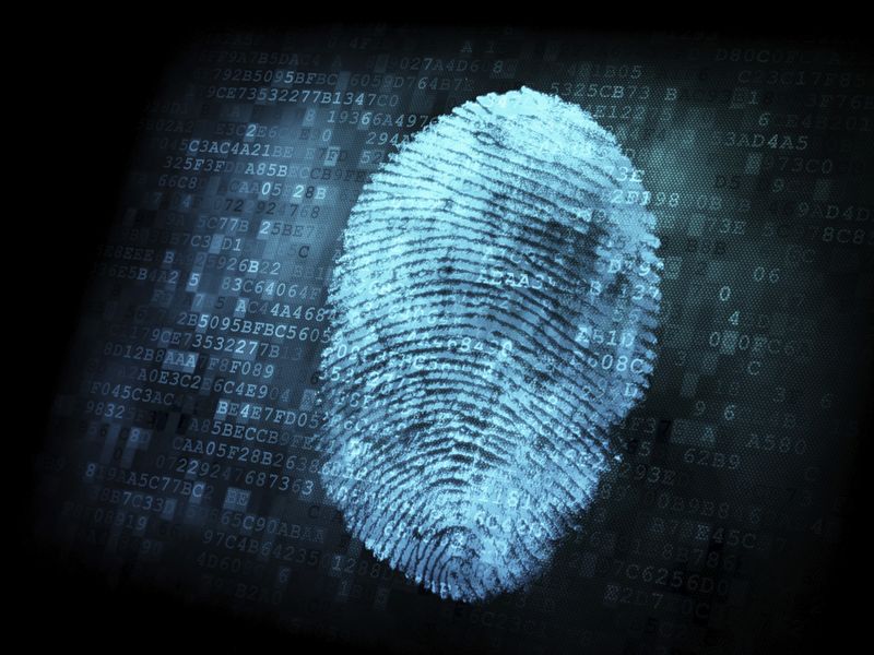 Fingerprint light blue
