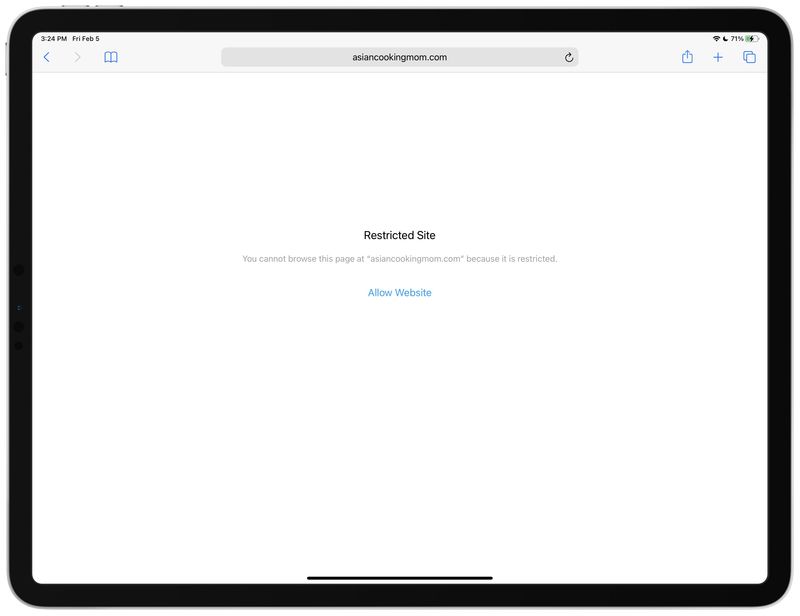 An iPad screenshot showing the Safari browser blocking a web query containing the word