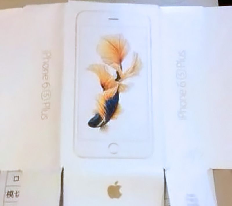 iPhone 6s packaging koi pond fish wallpaper cnBeta leak 001