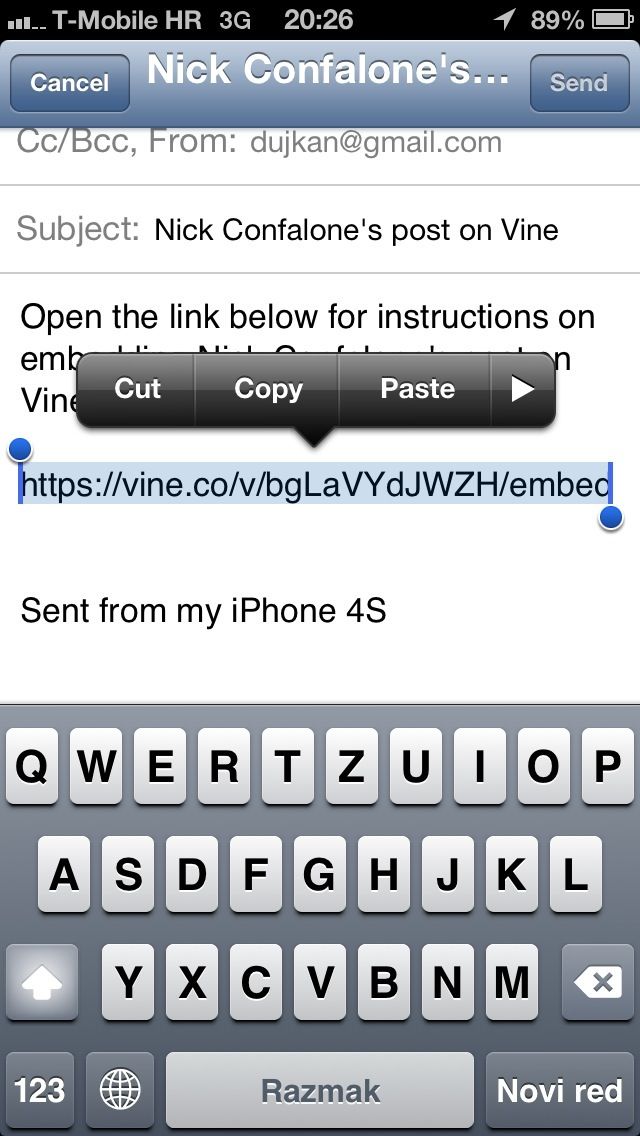 Vine 1.0.7 (embedding 003)