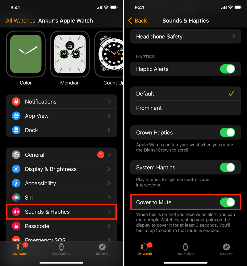 Cover to Mute in the Watch app