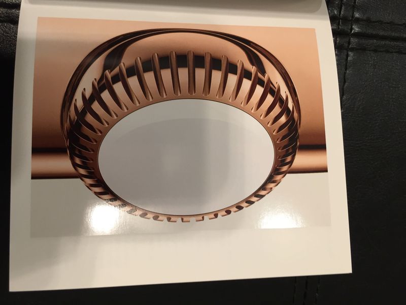 Apple Watch Edition booklet Digital Crown 002