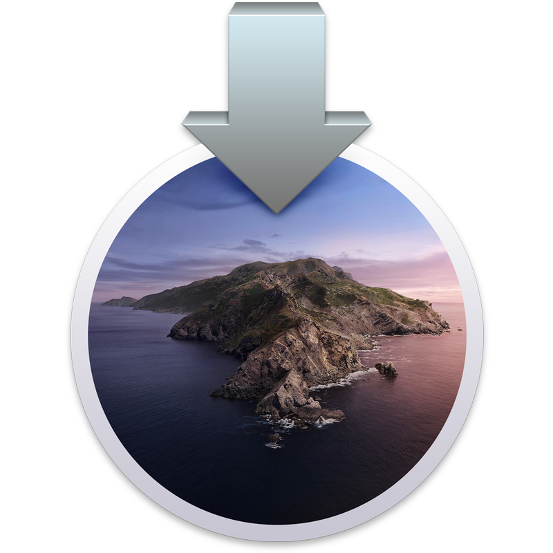 Catalina installer icon