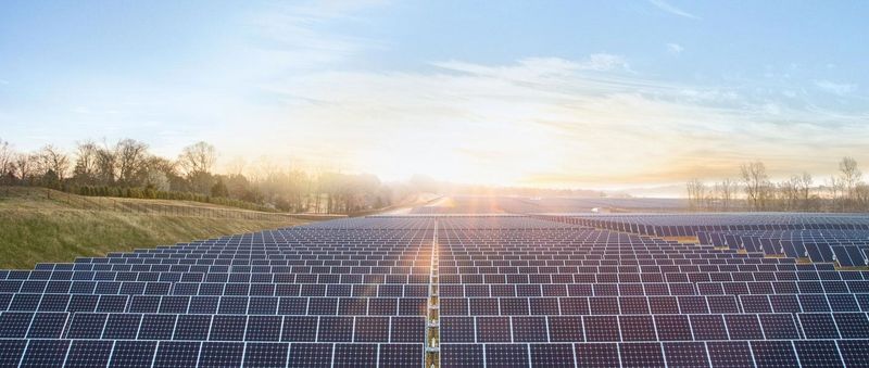 Apple solar farm (image 001)
