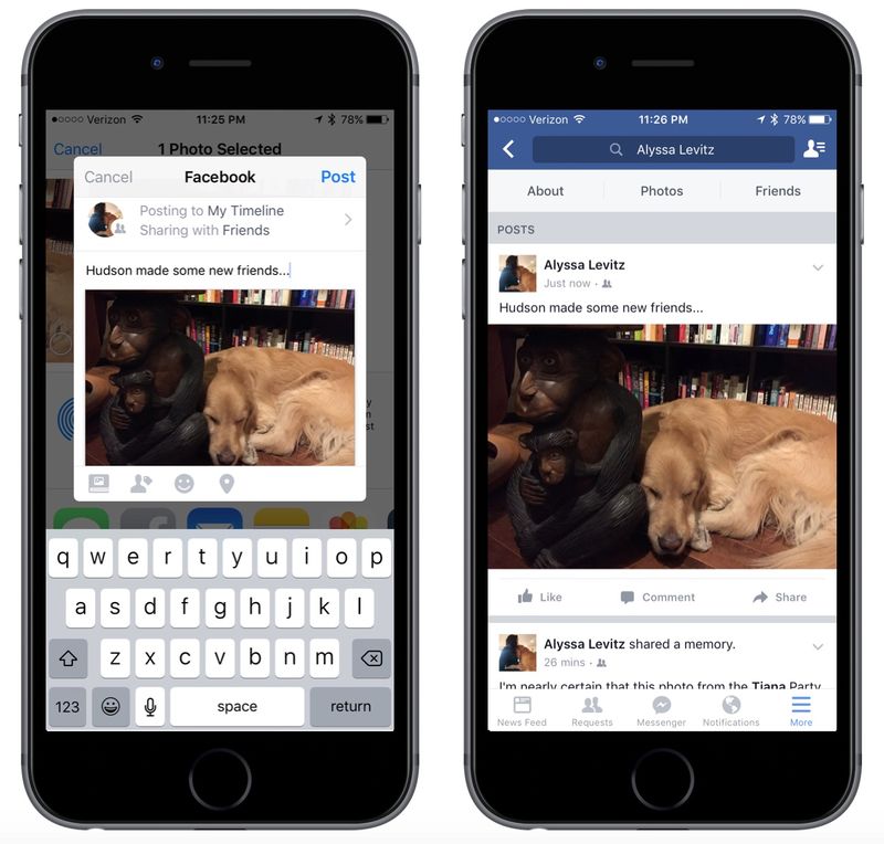 Facebook Share dialog iPhone screenshot 001