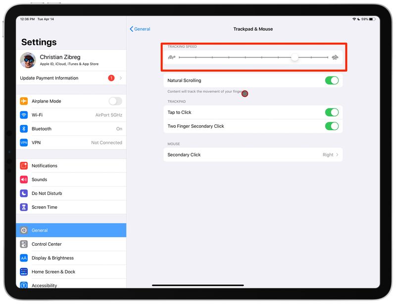 iPad tracking speed trackpad mouse settings