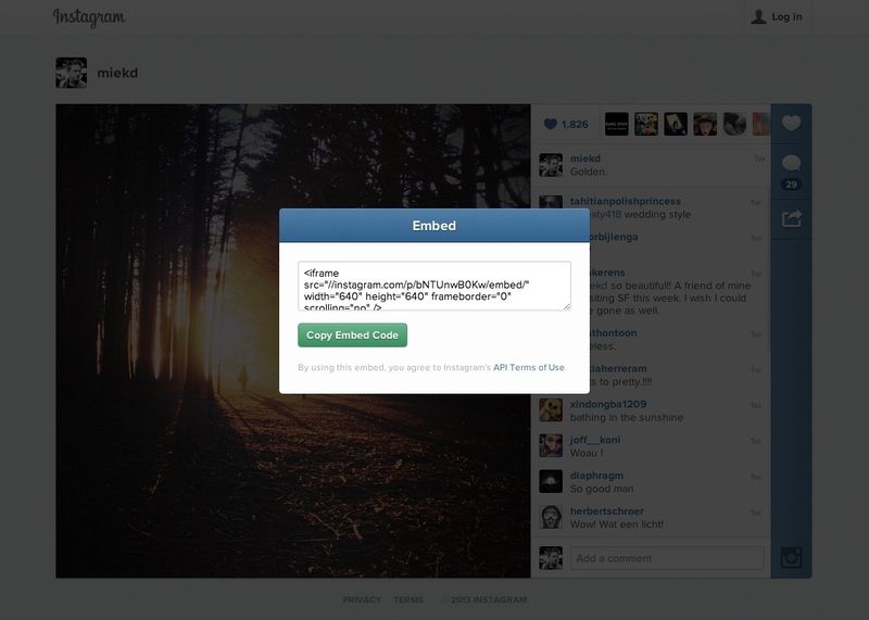 Instagram embedding 003