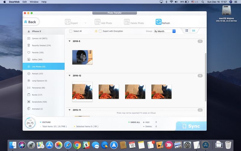 Backup and convert iPhone photos with DearMob iPhone manager
