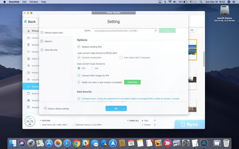 Convert iPhone iPad photos with DearMob iPhone Manager