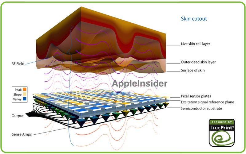 fingerprint-sensor-concept