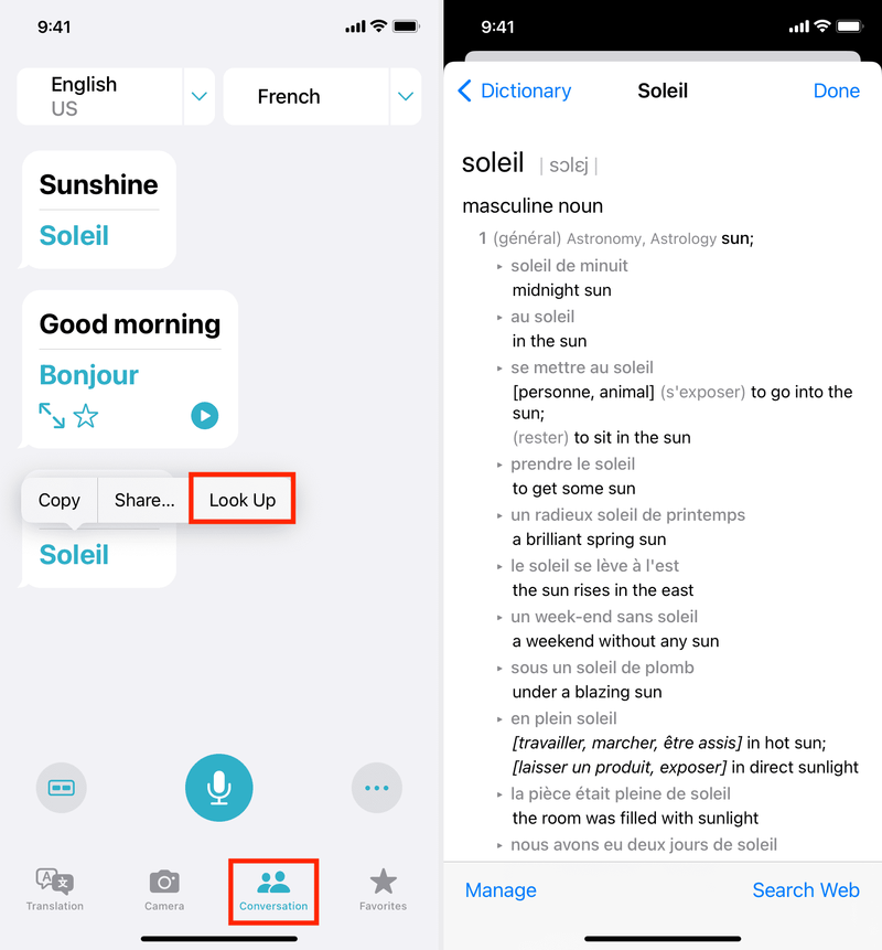 Using Look Up in iPhone Translate app during conversation