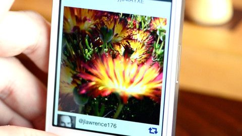 FocusTwist 1.0 for iOS (iPhone screenstot 002)